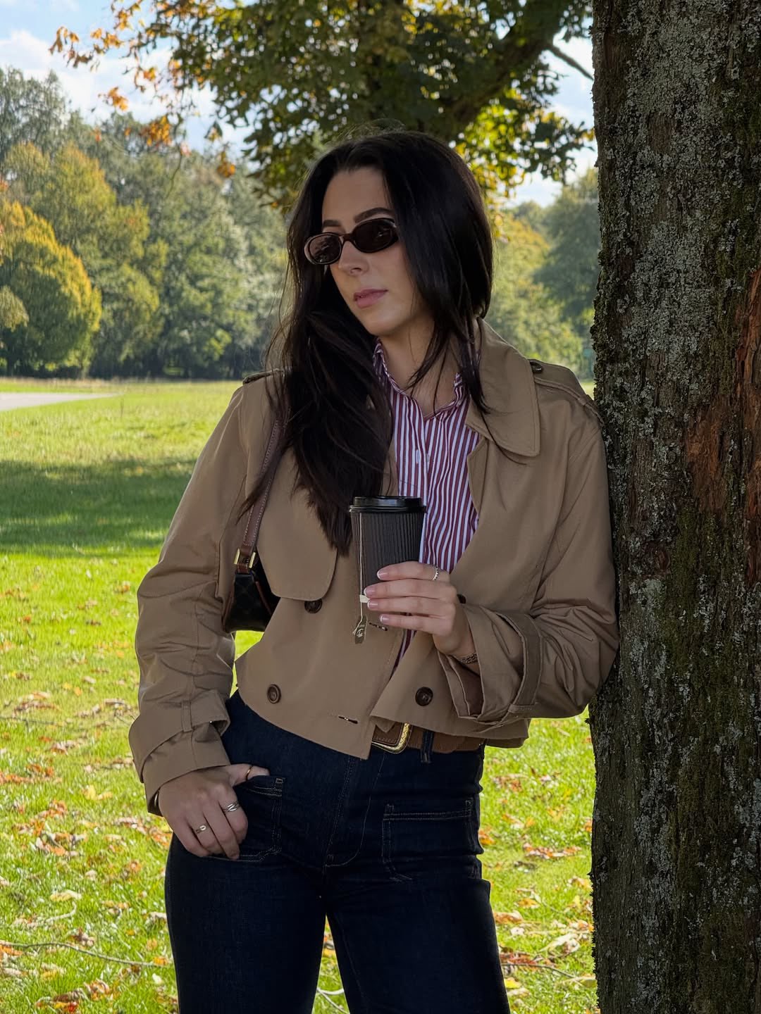 Trench Coat Formal - New Autumn Women Solid Cropped Trench